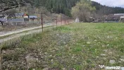 Teren 1,520mp Hangu / Strada Principala