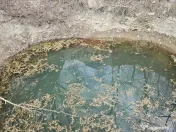 Teren 1,520mp Hangu / Strada Principala 