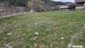 Teren 1,520mp Hangu / Strada Principala 
