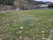 Teren 1,520mp Hangu / Strada Principala 