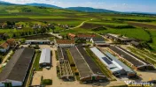 FILM! 25.400mp teren Complex agrozootehnic cu traditie, acc 