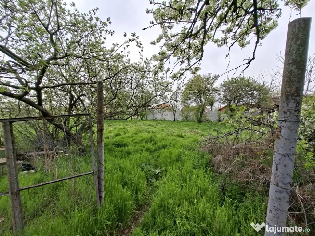 Casa de vânzare in Obarsia de Camp Judet Mehedinți