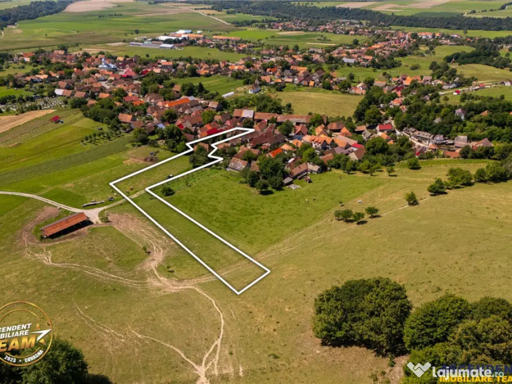 FILM!Doua case traditionale,pe domeniu cu peste 5.000mp tere