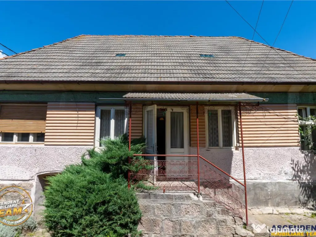 FILM!Doua case traditionale,pe domeniu cu peste 5.000mp tere