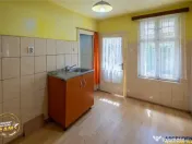 FILM!Doua case traditionale,pe domeniu cu peste 5.000mp tere 