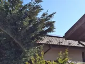 Casa individuala 4 camere Balotesti Good Afternoon Residence 