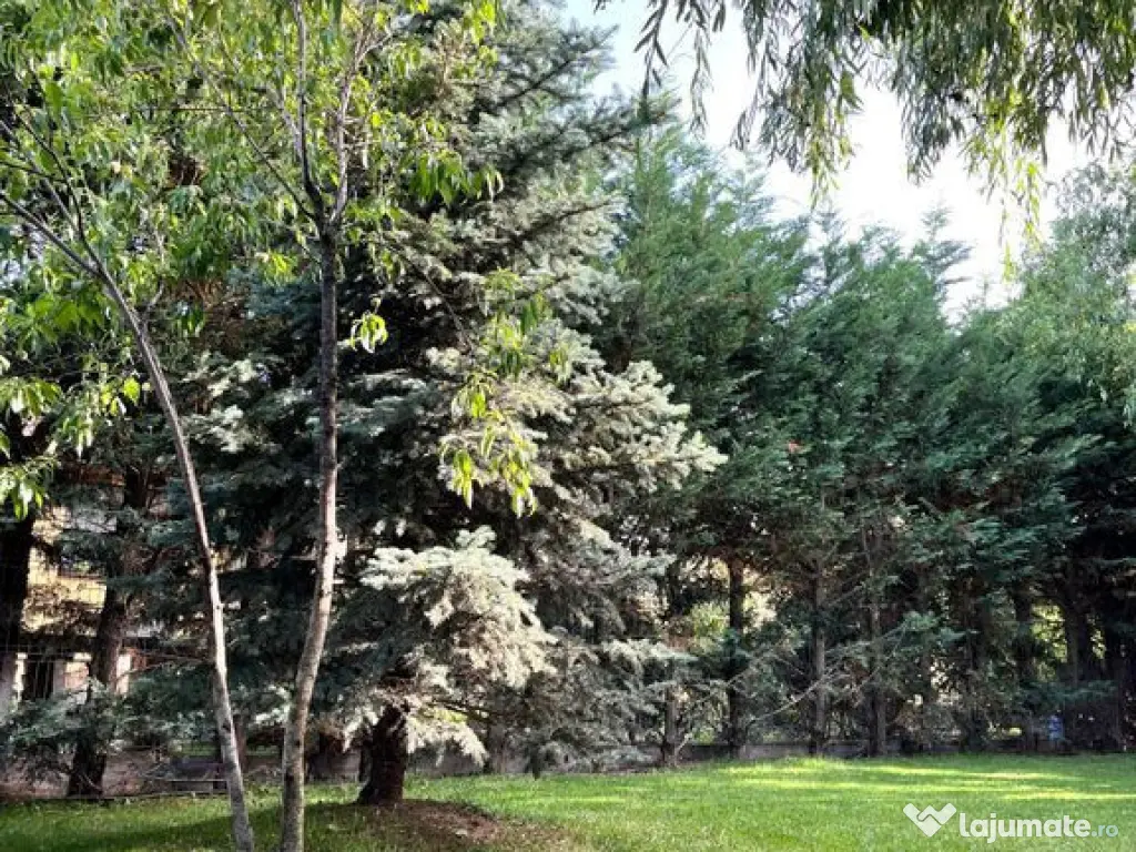 Casa individuala 4 camere Balotesti Good Afternoon Residence