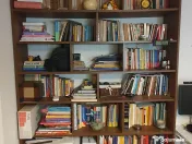 Biblioteca si comoda living 