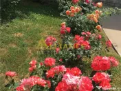 Vila spectaculoasa - 249 mp utili, teren 881 mp, 