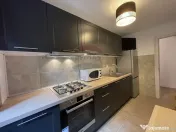 Apartament de inchiriat Aviatiei, Serbanescu | Hotel Ibis 