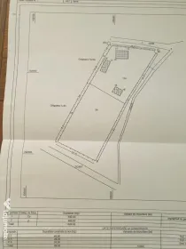 **Proprietate rustică autentică, cu teren generos – oportunitate rară** Potelu