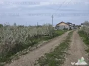 TEREN INTRAVILAN 420 mp la 20 minute de Bucuresti 