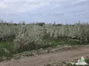 TEREN INTRAVILAN 420 mp la 20 minute de Bucuresti 