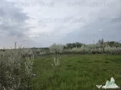 TEREN INTRAVILAN 420 mp la 20 minute de Bucuresti 