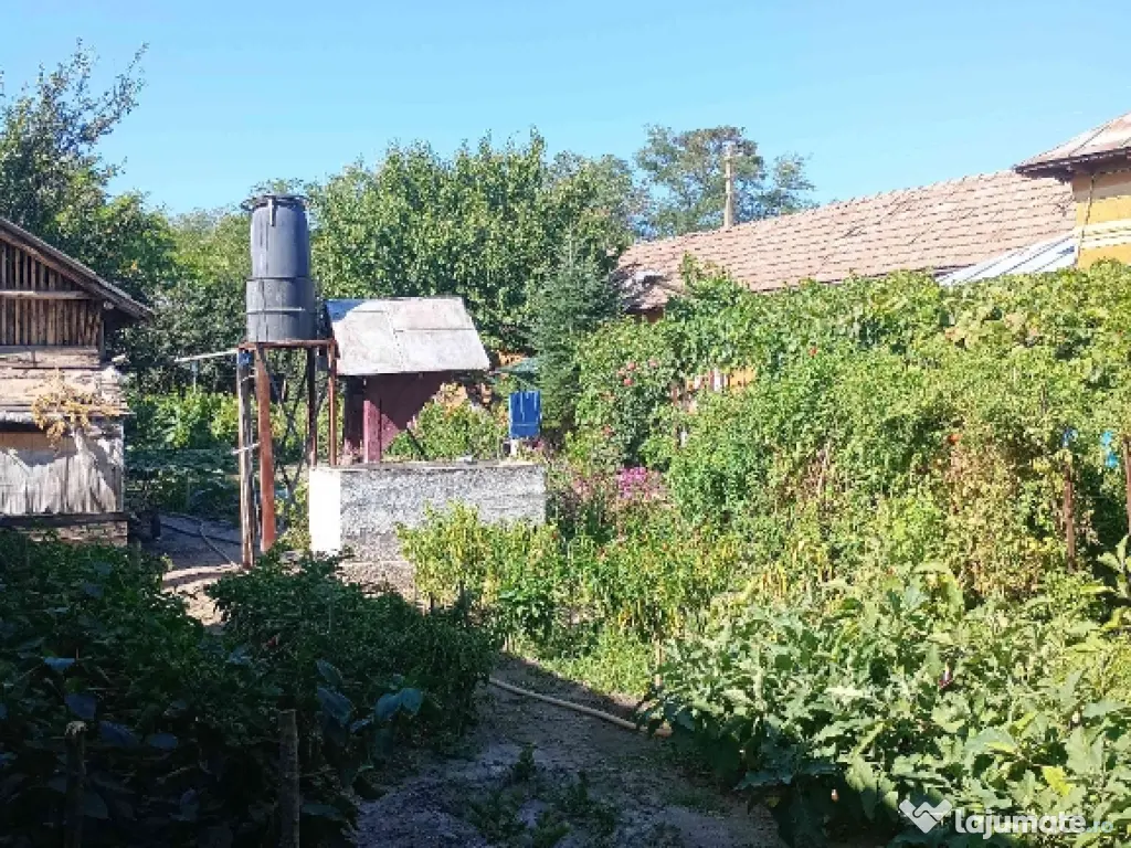 Casă la țară de vânzare