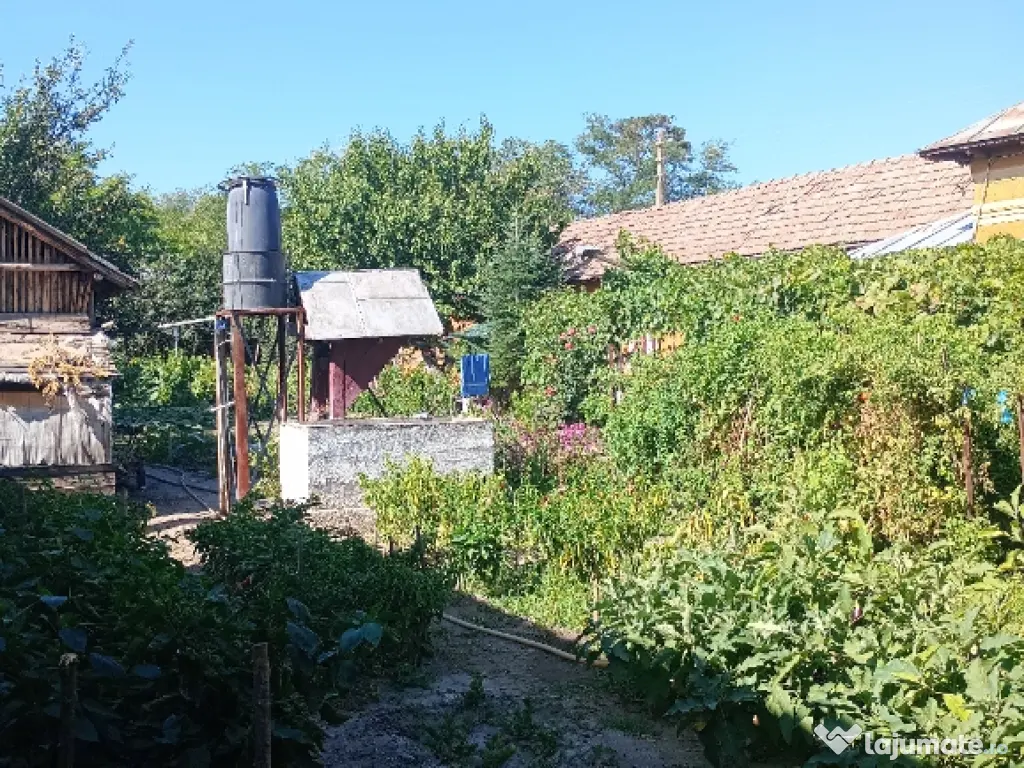 Casă la țară de vânzare