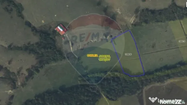 Teren 10,000mp Codlea / DN 1 - Codlea (Brasov)