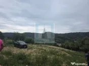 Teren intravilan de vanzare 