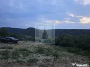 Teren intravilan de vanzare 