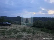 Teren intravilan de vanzare 