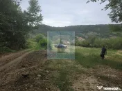 Teren intravilan de vanzare 