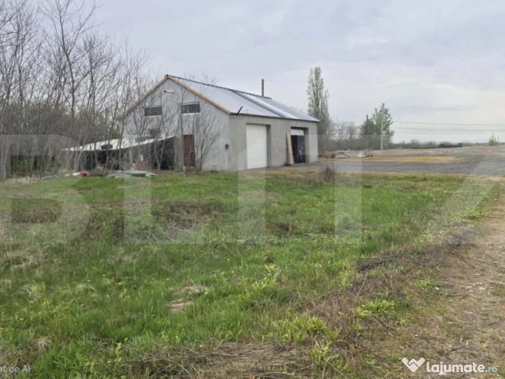 Spatiu industrial Hala 106 mp, 5700 mp Teren- Livada