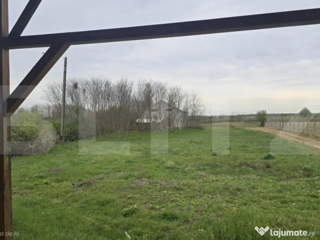 Spatiu industrial Hala 106 mp, 5700 mp Teren- Livada