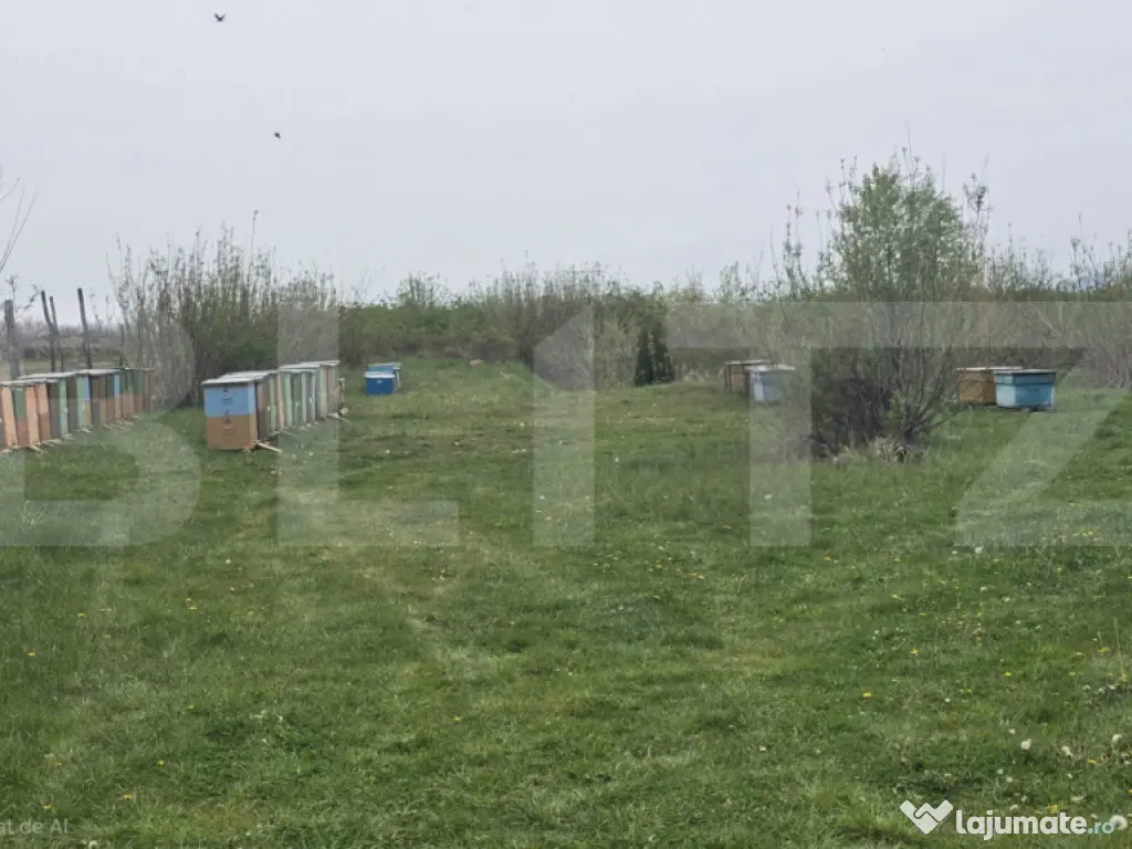 Spatiu industrial Hala 106 mp, 5700 mp Teren- Livada