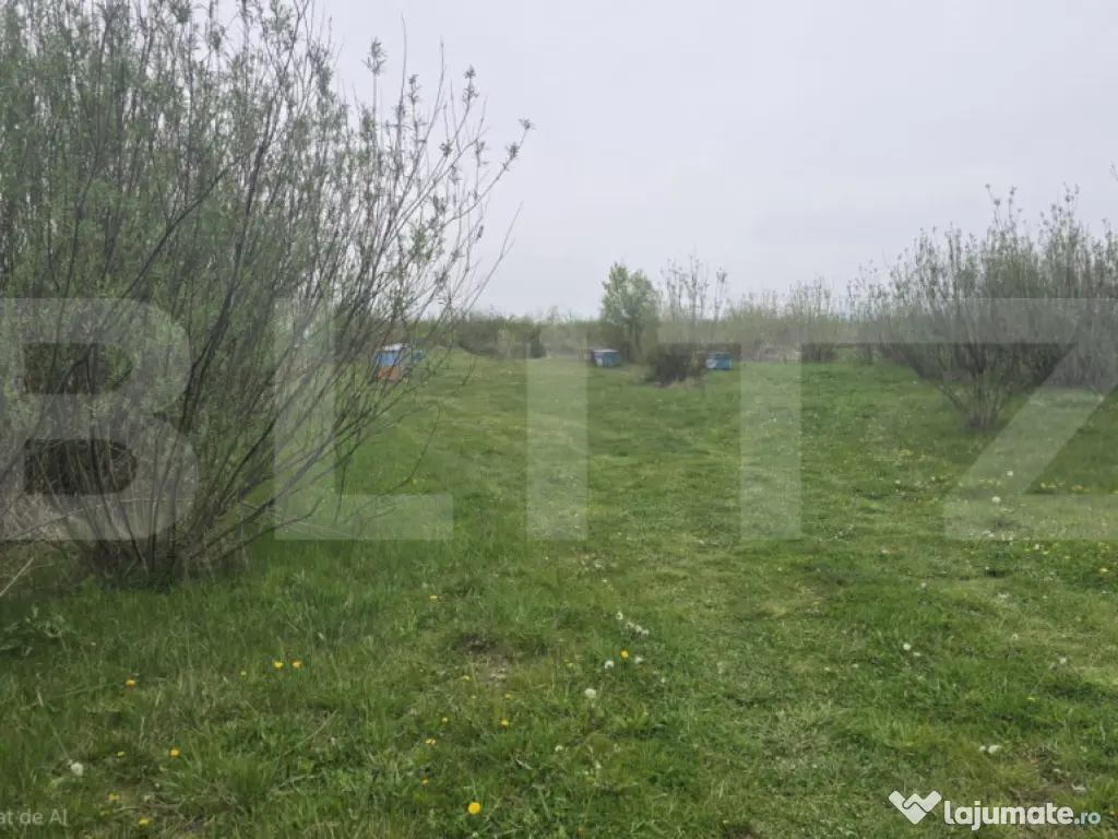 Spatiu industrial Hala 106 mp, 5700 mp Teren- Livada