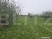 Spatiu industrial Hala 106 mp, 5700 mp Teren- Livada 