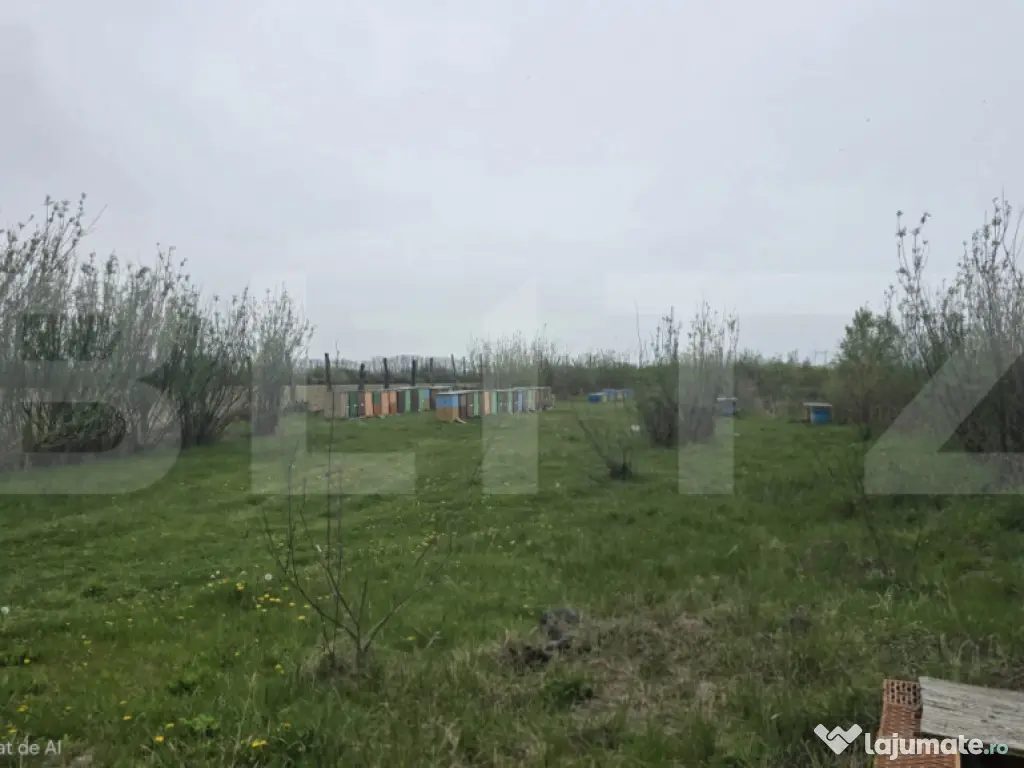 Spatiu industrial Hala 106 mp, 5700 mp Teren- Livada