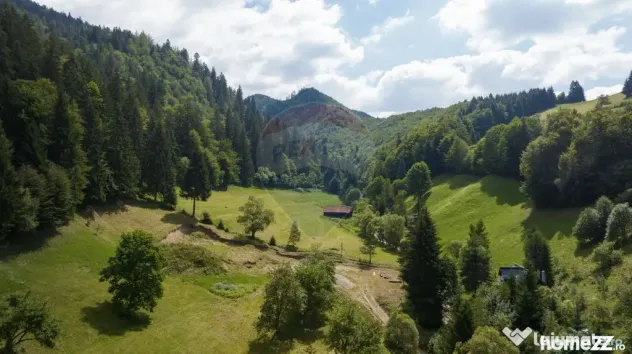 Teren 2.891 mp Șimon – Bran | Poziție rară, potenți... - Bran (Brasov)