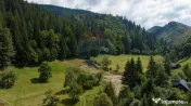 Teren 2.891 mp Șimon – Bran | Poziție rară, potenți... 