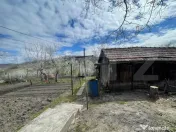 Locuinta in Ticu-Colonie (Casa de vacanta la un pret corect! 