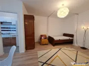 Garsoniera Renovata, Piata Dacia, Bulevardul Victoriei, Bras 