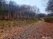 Apa Sarata Teren de vanzare cu deschidere la padure 