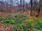 Apa Sarata Teren de vanzare cu deschidere la padure 