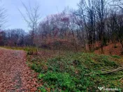 Apa Sarata Teren de vanzare cu deschidere la padure 