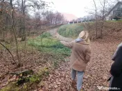 Apa Sarata Teren de vanzare cu deschidere la padure 