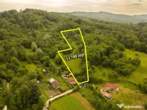 Teren de 11600 mp în mijlocul naturii la 2 ore de București