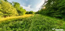 Teren de 11700 mp în mijlocul naturii la 2 ore de București