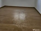 Vand duplex Mosnita Noua, Timis 