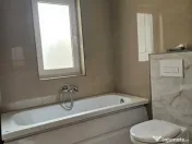 Vand duplex Mosnita Noua, Timis 