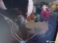 Samsung televizor 4 k pt piese 