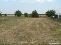 Vand 2 terenuri Munteni 1000mp fiecare