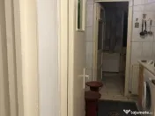 Giurgiului luica ilie oprea 