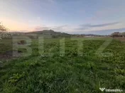 Teren intravilan 2.512 mp (25 ari) în Nazna – ideal pentr 