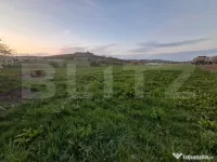 Teren intravilan 2.512 mp (25 ari) în Nazna – ideal pentr 