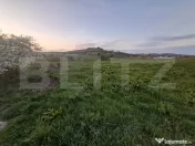 Teren intravilan 2.512 mp (25 ari) în Nazna – ideal pentr 