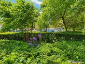 3D! Renovat, luminos, cu vedere panoramica, Vlahuta, Brasov. 